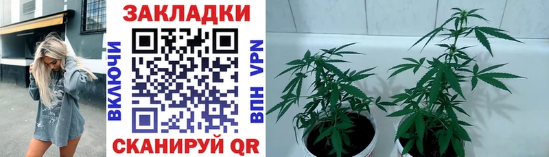 Наркошоп купить Гашиш Альфа ПВП МДМА Каннабис Кокаин МЕФ Игра