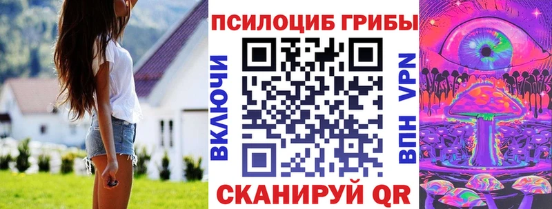 Псилоцибиновые грибы Psilocybe  Купить закладки  Игра 